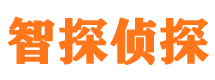 海港侦探公司